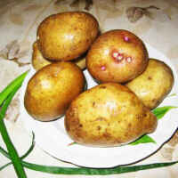 Картошка жареная в мультиварке рецепты с фото