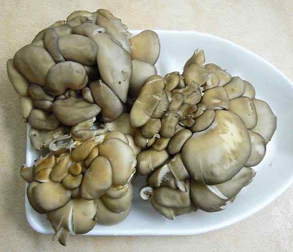 Картошка с грибами рецепт в мультиварке