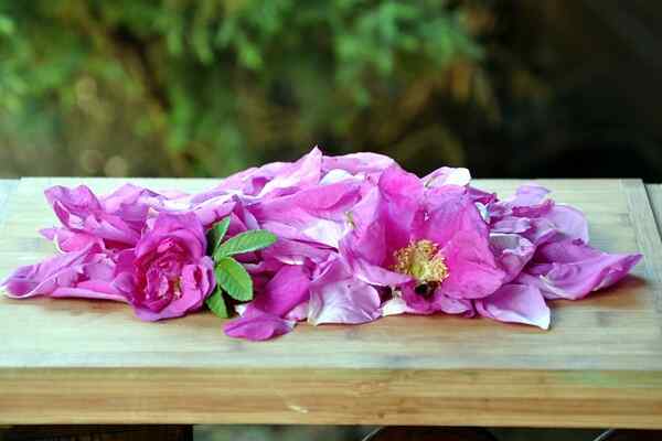 Рецепт варенья из лепестков роз